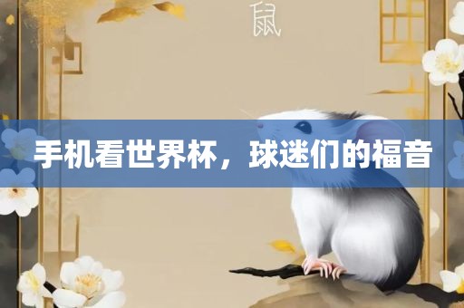 手机看世界杯，球迷们的福音