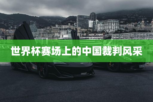 世界杯赛场上的中国裁判风采