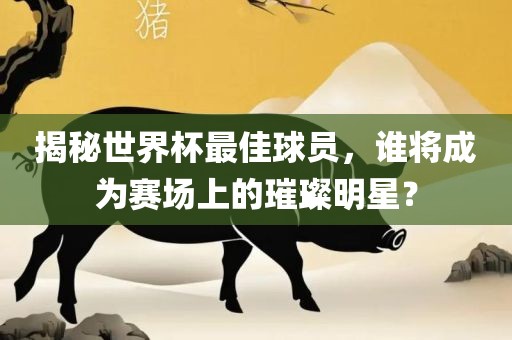 揭秘世界杯最佳球员，谁将成为赛场上的璀璨明星？