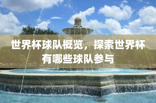 世界杯球队概览，探索世界杯有哪些球队参与