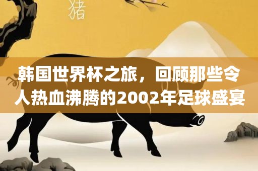 韩国世界杯之旅，回顾那些令人热血沸腾的2002年足球盛宴