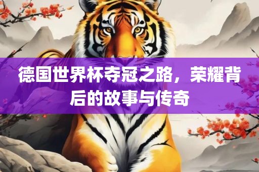 德国世界杯夺冠之路,荣耀背后的故事与传奇