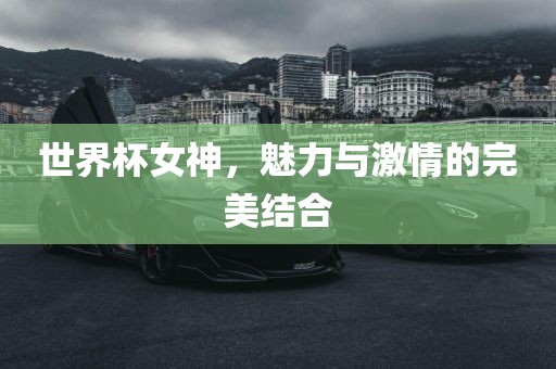 世界杯女神,魅力与激情的完美结合