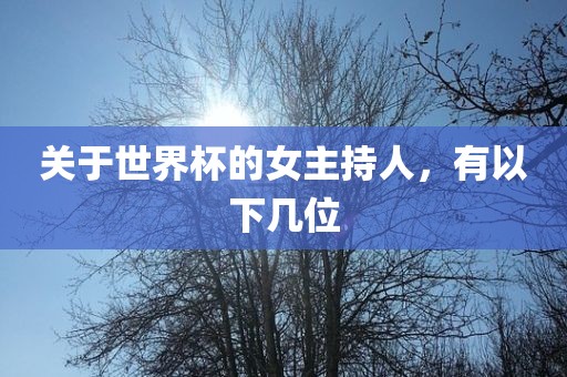 关于世界杯的女主持人，有以下几位