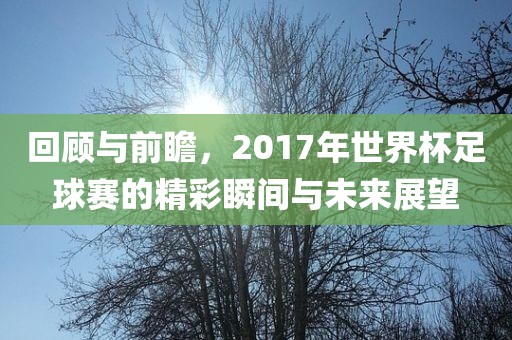 回顾与前瞻,2017年世界杯足球赛的精彩瞬间与未来展望广州熙林手袋有限公司