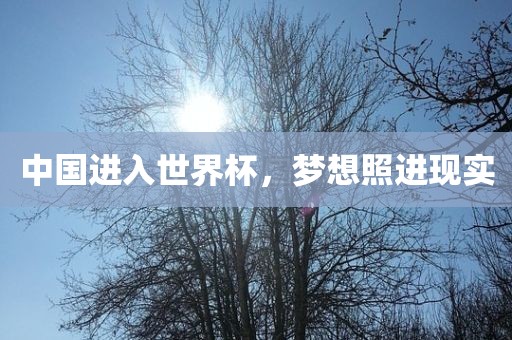 中国进入世界杯，梦想照进现实