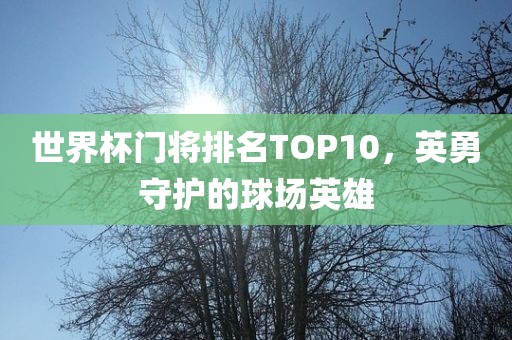 世界杯门将排名TOP10，英勇守护的球场英雄