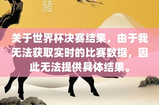 关于世界杯决赛结果，由于我无法获取实时的比赛数据，因此无法提供具体结果。