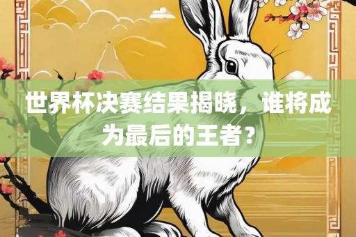 世界杯决赛结果揭晓，谁将成为最后的王者？