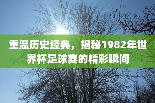 重温历史经典，揭秘1982年世界杯足球赛的精彩瞬间