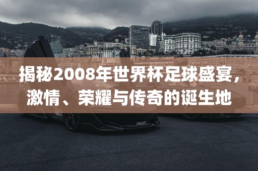 揭秘2008年世界杯足球盛宴,激情、荣耀与传奇的诞生地广州熙林手袋有限公司