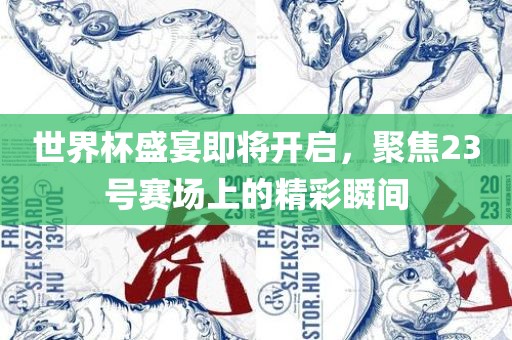 世界杯盛宴即将开启，聚焦23号赛场上的精彩瞬间