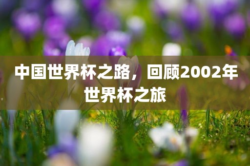 中国世界杯之路，回顾2002年世界杯之旅