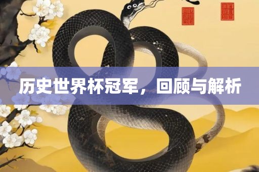 历史世界杯冠军，回顾与解析