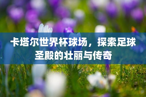 卡塔尔世界杯球场，探索足球圣殿的壮丽与传奇