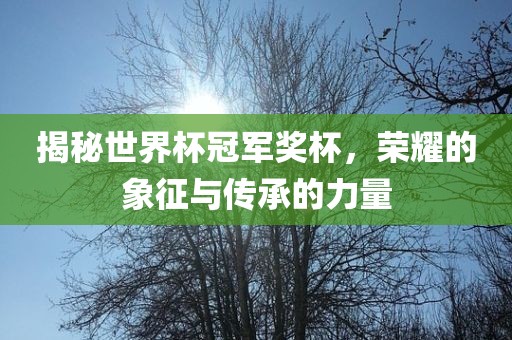 揭秘世界杯冠军奖杯，荣耀的象征与传承的力量