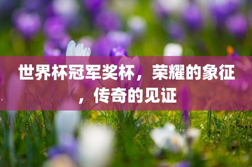 世界杯冠军奖杯，荣耀的象征，传奇的见证