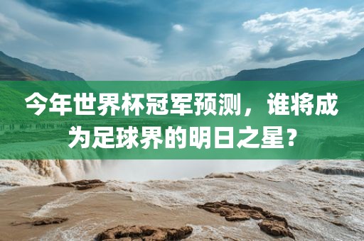 今年世界杯冠军预测,谁将成为足球界的明日之星?