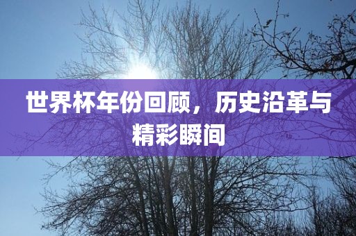 世界杯年份回顾，历史沿革与精彩瞬间