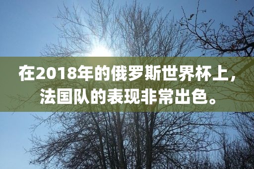 在2018年的俄罗斯世界杯上，法国队的表现非常出色。