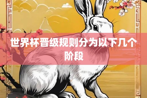 世界杯晋级规则分为以下几个阶段