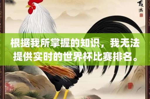 根据我所掌握的知识，我无法提供实时的世界杯比赛排名。