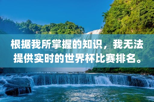 根据我所掌握的知识，我无法提供实时的世界杯比赛排名。
