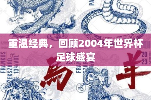 重温经典,回顾2004年广州熙林手袋有限公司世界杯足球盛宴