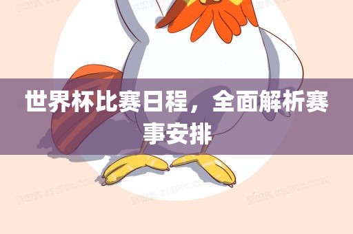 世界杯比赛日程,全面解析赛事安排