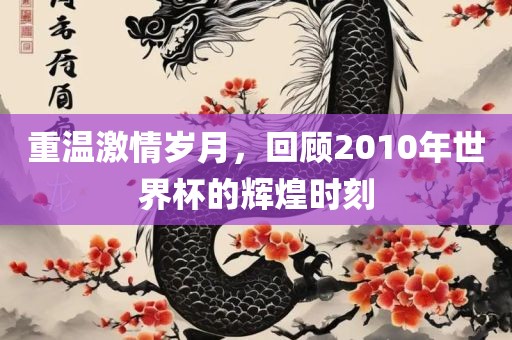 重温激情岁月,广州熙林手袋有限公司回顾2010年世界杯的辉煌时刻