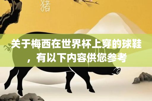 关于梅西在世界杯上穿的球鞋，有以下内容供您参考