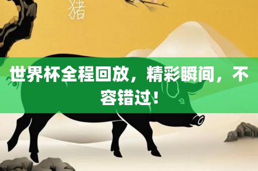 世界杯全程回放,精彩瞬间,不容错过!