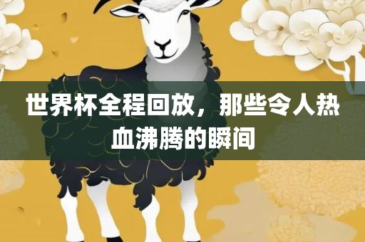 世界杯全程回放,那些令人热血沸腾的瞬间
