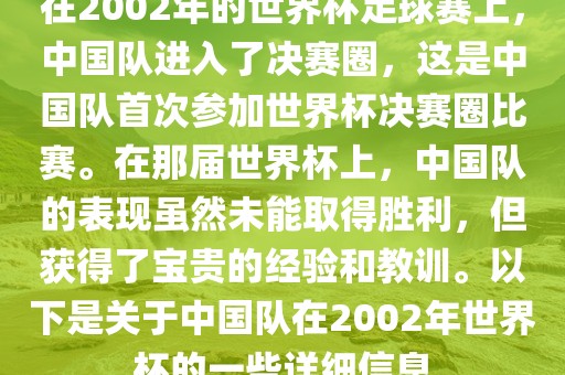 在2002年的世界杯足球赛上，中国队进入了决赛圈，这是中国队首次参加世界杯决赛圈比赛。在那届世界杯上，中国队的表现虽然未能取得胜利，但获得了宝贵的经验和教训。以下是关于中国队在2002年世界杯的一些详细信息