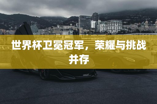 世界杯卫冕冠军,荣耀与挑战并存