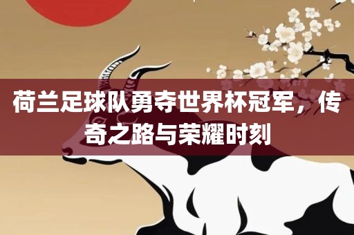 荷兰足球队勇夺世界杯冠军，传奇之路与荣耀时刻