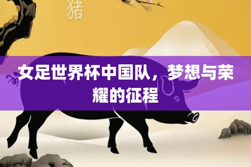 女足世界杯中国队，梦想与荣耀的征程