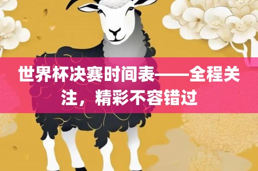 世界杯决赛时间表——全程关注，精彩不容错过