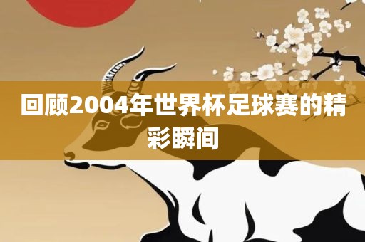 回顾2004年世界杯足球赛的精彩瞬间