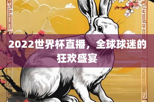 2022世界杯直播，全球球迷的狂欢盛宴