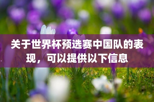 关于世界杯预选赛中国队的表现，可以提供以下信息