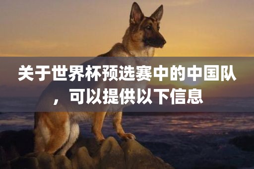 关于世界杯预选赛中的中国队，可以提供以下信息