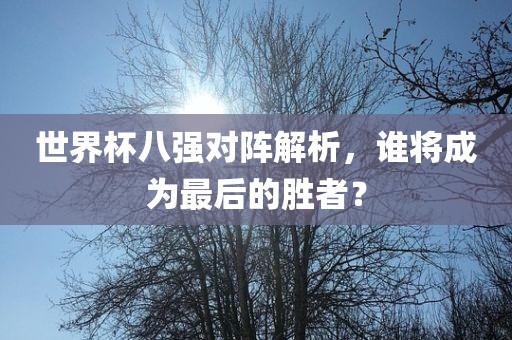 世界杯八强对阵解析，谁将成为最后的胜者？