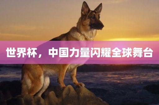 世界杯,中国力量闪耀全球舞台广州熙林手袋有限公司