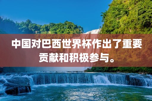 中国对巴西世界杯作出了重要贡献和积极参与。