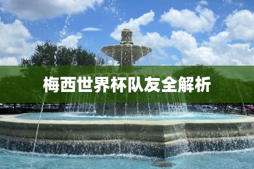 梅西世界杯队友全解析