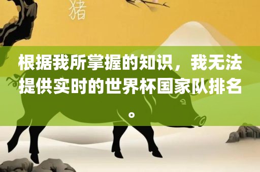 根据我所掌握的知识，我无法提供实时的世界杯国家队排名。