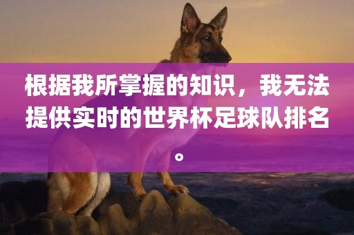 根据我所掌握的知识，我无法提供实时的世界杯足球队排名。