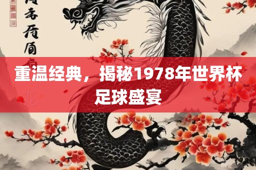 重温经典,揭秘1978年世界杯足球盛宴广州熙林手袋有限公司