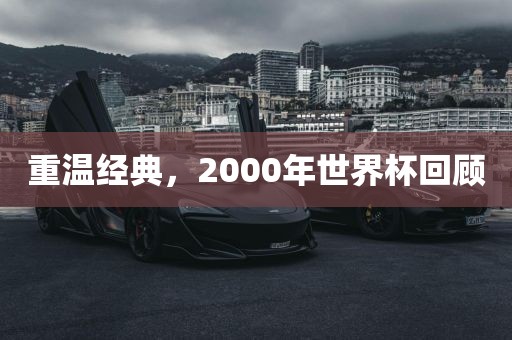 重温经典,2000年世界杯回顾广州熙林手袋有限公司